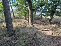 Prodej pozemku, Holýšov, 697 m2