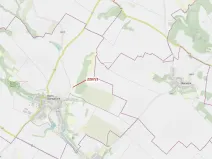 Dražba lesa, Horní Dunajovice, 28 m2