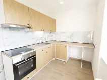 Pronájem bytu 1+1, Karviná - Mizerov, Borovského, 36 m2
