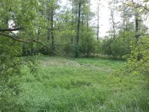 Dražba louky, Dětmarovice, 1844 m2