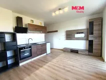 Pronájem bytu 1+kk, Frýdek-Místek - Frýdek, Bavlnářská, 27 m2