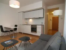 Pronájem bytu 2+kk, Praha - Žižkov, Pitterova, 70 m2