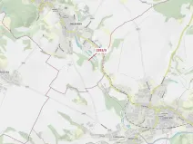 Dražba lesa, Oslavany, 26 m2
