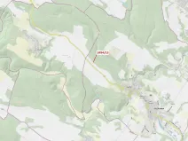Dražba lesa, Oslavany, 113 m2