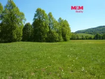 Prodej louky, Vysoká Srbská, 26090 m2