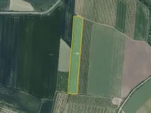 Prodej sadu/vinice, Želkovice, 20864 m2