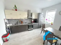 Prodej bytu 3+kk, Děčín, Vilsnická, 100 m2