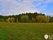 Prodej lesa, Řečice, 9184 m2