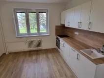 Pronájem bytu 1+1, Břeclav, U Jánského dvora, 46 m2