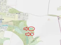 Prodej lesa, Kralupy nad Vltavou, 559 m2