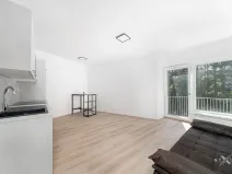 Pronájem bytu 1+kk, Praha - Štěrboholy, Pod areálem, 30 m2