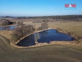 Prodej rybníku, Ratiboř, 13920 m2