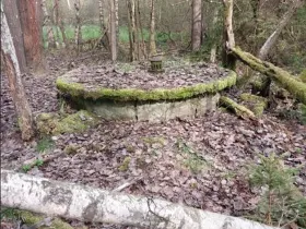 Prodej podílu lesa, Drunče, 17021 m2