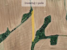 Prodej pole, Zborovice - Medlov, 5441 m2