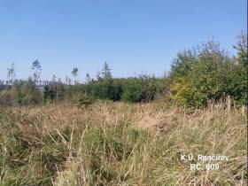 Prodej lesa, Rančířov, 9391 m2