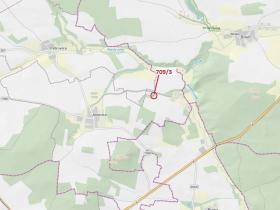 Dražba lesa, Osek, 301 m2