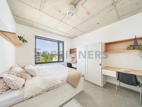 Pronájem bytu 1+kk, Brno, Dornych, 22 m2