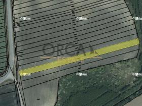 Prodej pole, Čejkovice, 3381 m2