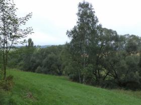 Prodej pole, Heřmánkovice, 5268 m2