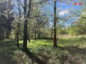 Prodej chaty, Zbraslavice - Kateřinky, 16 m2