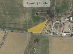 Prodej pole, Habry, 1706 m2
