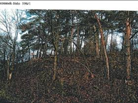 Prodej podílu lesa, Jihlava, 4922 m2