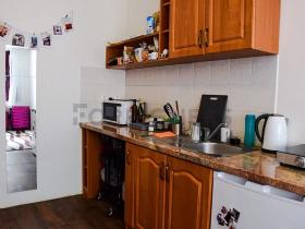 Pronájem bytu 1+kk, Brno, Mezírka, 27 m2