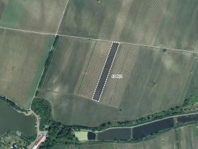 Prodej sadu/vinice, Sedlec, 10059 m2
