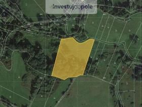 Prodej louky, Spálené Poříčí, 11582 m2