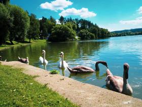 Prodej chaty, Jedovnice, 48 m2