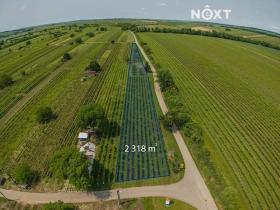 Prodej sadu/vinice, Prušánky, 2318 m2