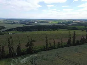 Dražba louky, Újezdec, 4351 m2