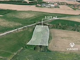Prodej podílu lesa, Velká Bíteš, 697 m2