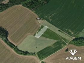 Prodej pole, Louňovice pod Blaníkem, 3038 m2