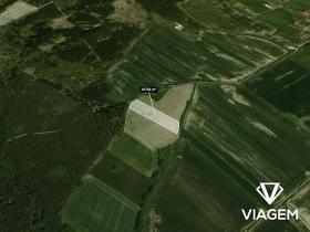 Prodej podílu pole, Vitín, 740 m2