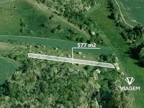 Prodej lesa, Bošovice, 577 m2