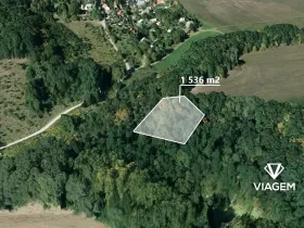 Prodej podílu lesa, Vráž, 768 m2