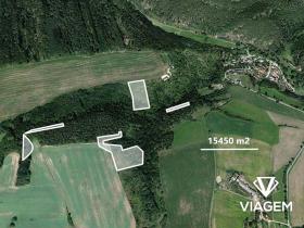 Prodej podílu lesa, Chlum, 2809 m2