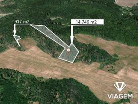Prodej lesa, Klučov, 11430 m2