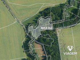Prodej lesa, Praha, 4653 m2