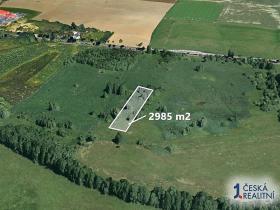 Prodej pole, Karlovice, 2985 m2