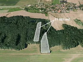 Prodej podílu lesa, Losiná, 2635 m2