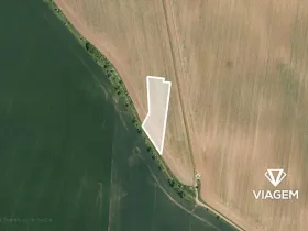 Prodej pole, Vinařice, 2917 m2