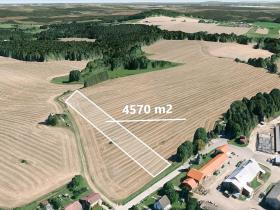 Prodej podílu pole, Ločenice, 1142 m2