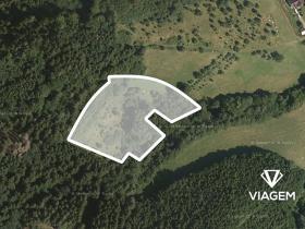 Prodej lesa, Vsetín, Rokytnice, 10655 m2