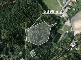 Prodej lesa, Veliny, 6398 m2
