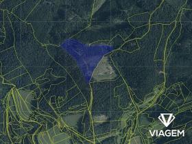 Prodej lesa, Všemina, 21200 m2