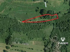 Prodej podílu lesa, Budeč, 1377 m2