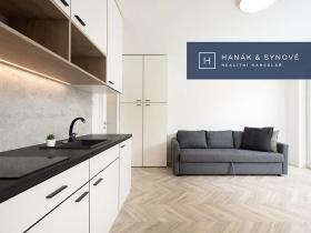 Pronájem bytu 1+kk, Brno, Cejl, 29 m2