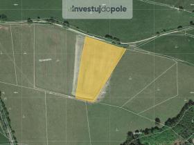 Prodej louky, Machov - Bělý, 9090 m2